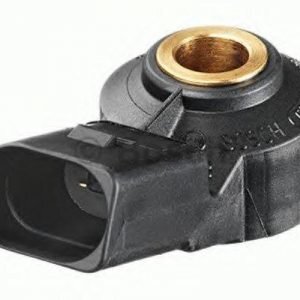 Bosch Nakutustunnistin