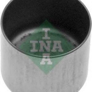 Ina Venttiilinnostin