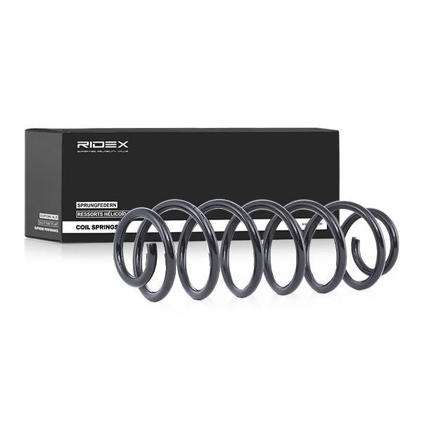 Ridex Jousi (auton Jousitus)