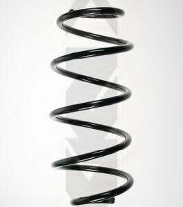 Ridex Jousi (auton Jousitus)